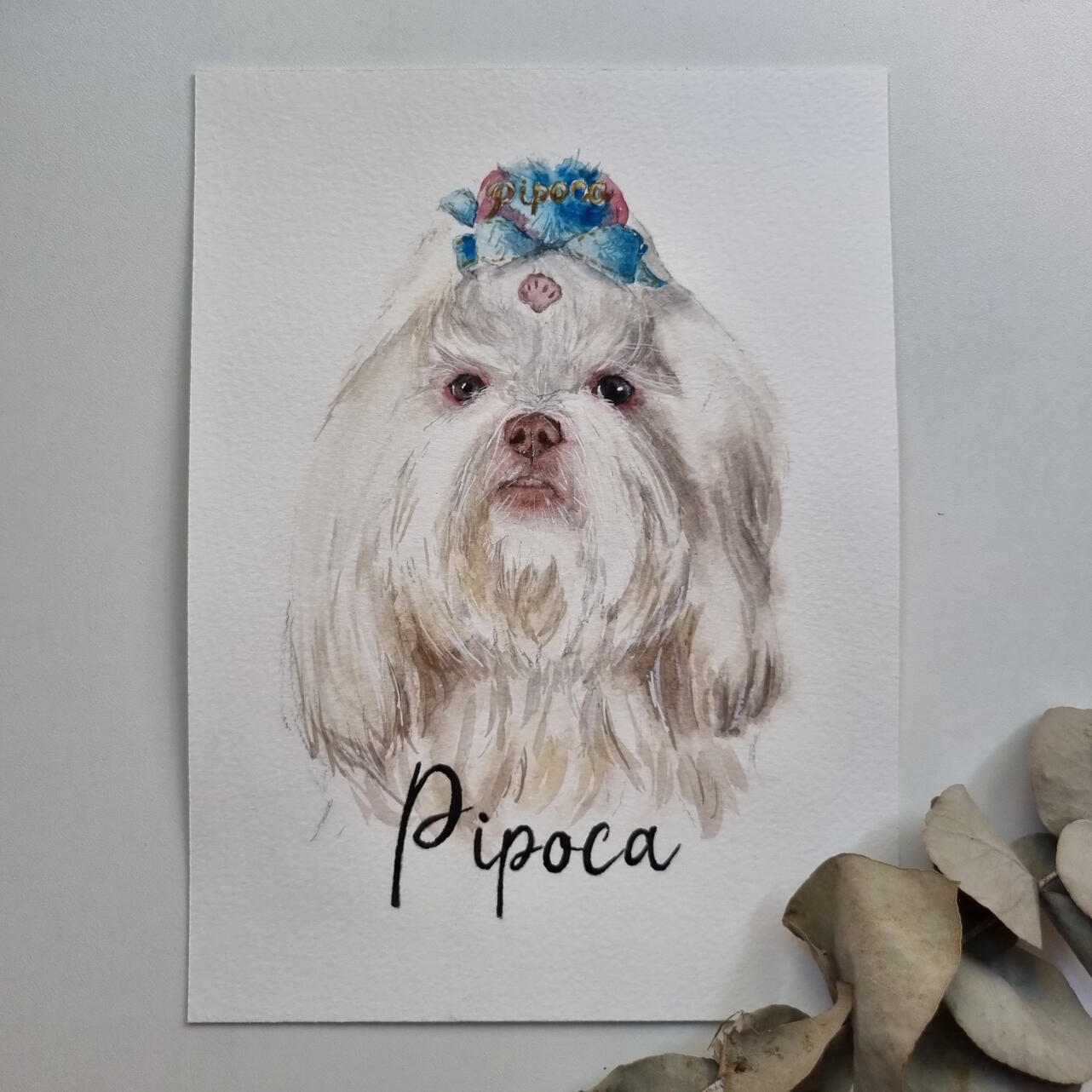 presente aquarela pet de cachorro shih tzu Shih-tzu encomenda aquarela pet de cachorro shih tzu Shih-tzu