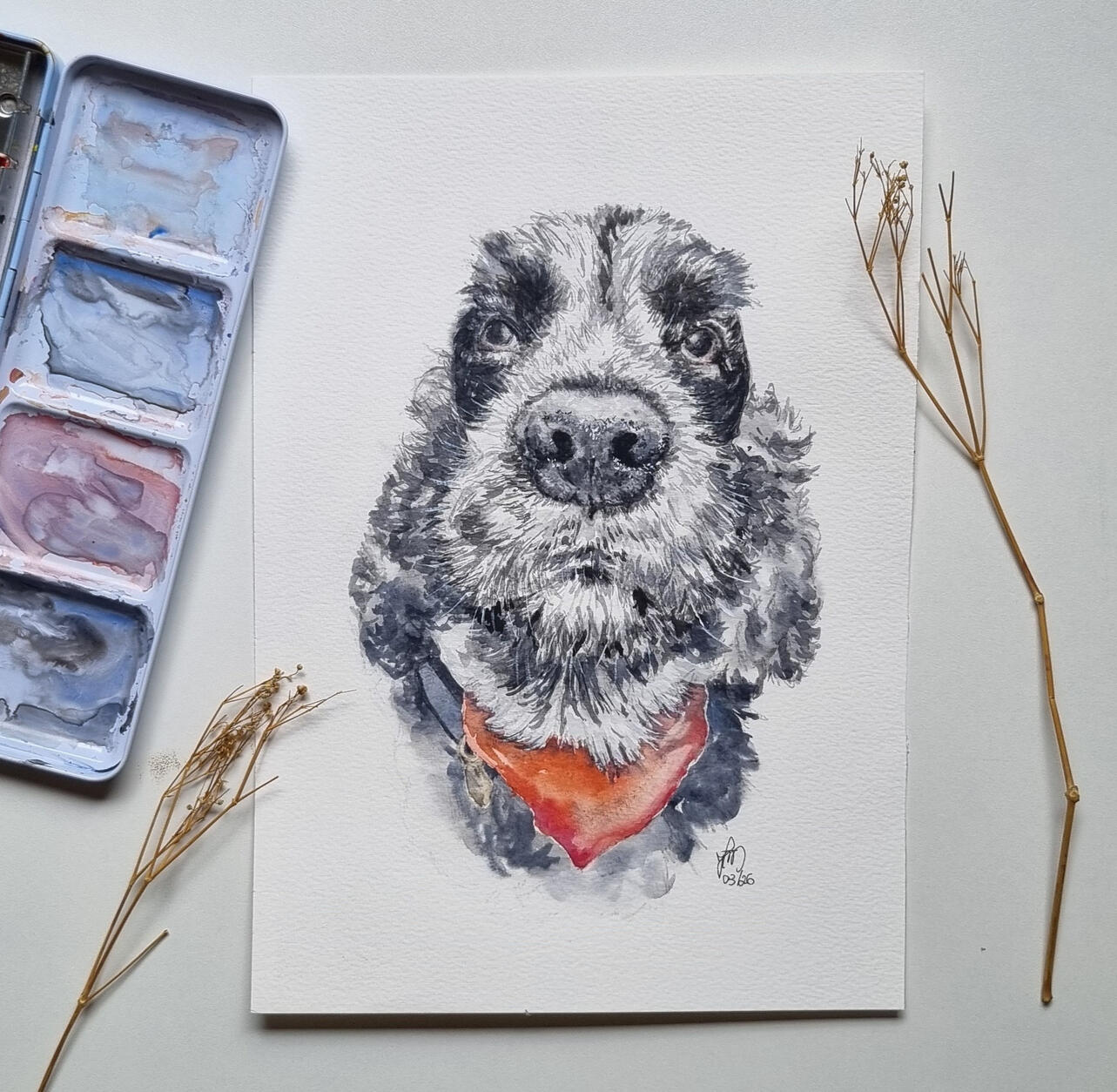 presente de aquarela pet de Cocker Spaniel memorial presente de aquarela pet de Cocker Spaniel memorial